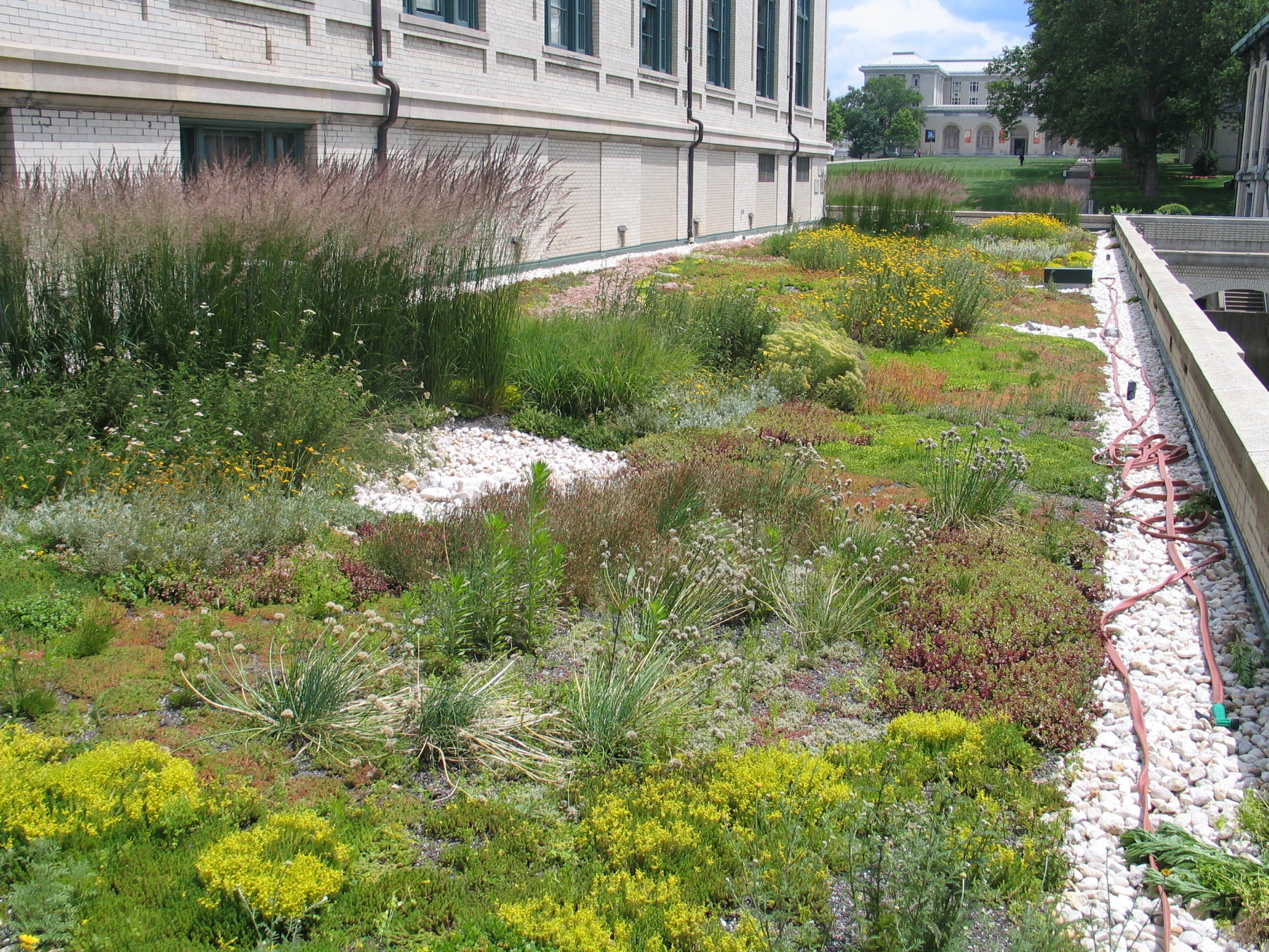 GreenRoof_2