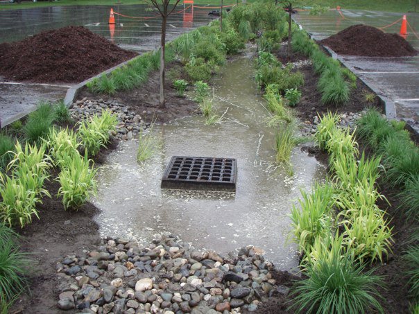 Rain Garden Drainage Rain Garden Drainage
