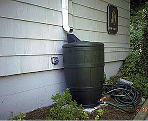 RainBarrel 1